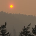The Process of Paying for a Medical Test in Clark County, Washington