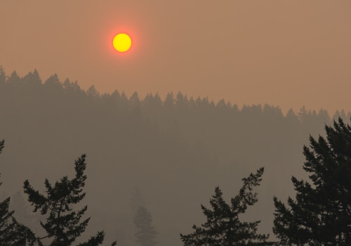 The Importance of Prioritizing Medical Tests for Residents of Clark County, Washington