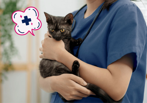 Bringing a Companion to Your Medical Test Appointment in Clark County, Washington